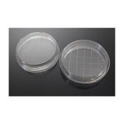 Contact Plate, 65 x 15 mm (flat)